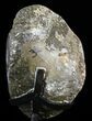 Amethyst Crystal Cluster On Metal Stand - Uruguay #63122-1